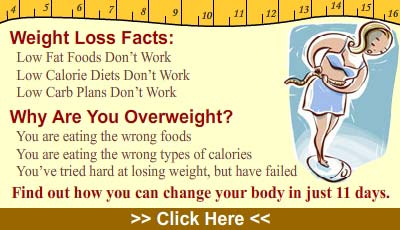 Belly  Loss Diet on How To Reduce Belly Fat