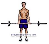 barbell curl