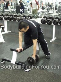 dumbbell row exercise