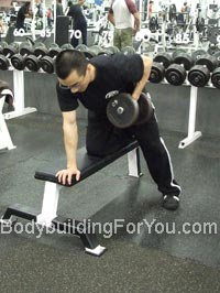 1 arm dumbbell row