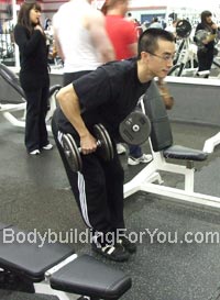 bent over dumbbell row