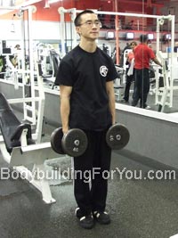 dumbbell shrug