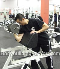 dumbbell preacher curl