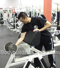 preacher dumbbell curl