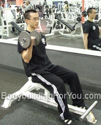 seated dumbbell curl