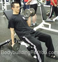 alternate incline dumbbell curl