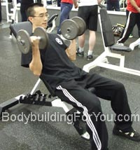 incline dumbbell curl