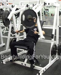 hammer strength decline press