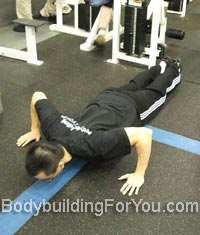chest pushup exercise