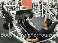 calf raise leg press machine