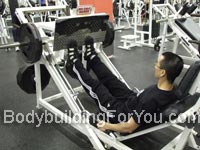 leg press machine calf raise