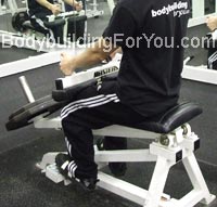 seated calf raises