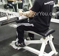 seated calve raises