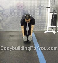 bent over dumbbell raise