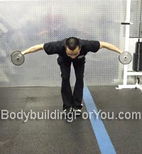 bent dumbbell raises