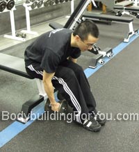 bent over dumbbell raise