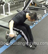 bent dumbbell raises