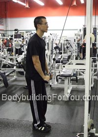 cable triceps pushdown